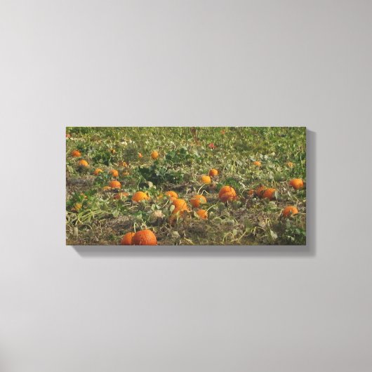 Toile Décoration murale de champ de citrouilles (Recto)