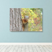 Toile d'écureuil (Insitu (Plancher de Bois))