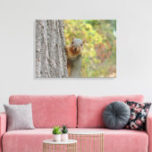 Toile d'écureuil (Insitu(Salon))