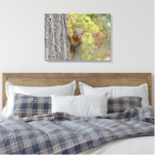 Toile d'écureuil (Insitu(Chambre))