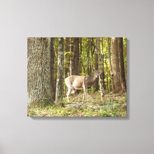 Toile Deer Me (Recto)