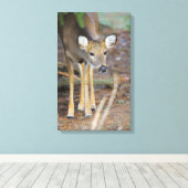 Toile Deer, Ohio (Insitu (Plancher de Bois))
