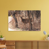 Toile Deer Stare (Insitu(Salon))