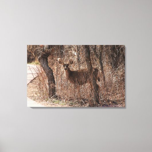 Toile Deer Stare (Recto)