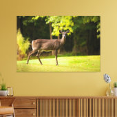 Toile Deer sur le terrain de golf (Insitu(Salon))