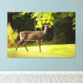 Toile Deer sur le terrain de golf (Insitu (Plancher de Bois))