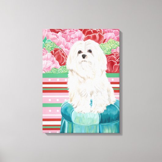 Toile Della Rose Maltese (Recto)