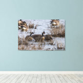 Toile Déménagement (Insitu (Plancher de Bois))