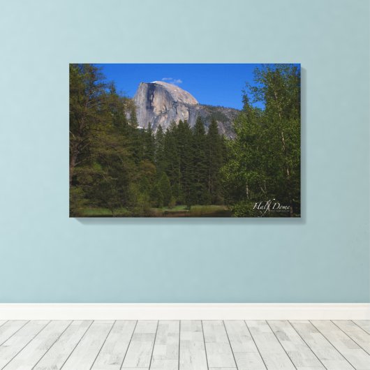 Toile Demi-dôme (Insitu (Plancher de Bois))