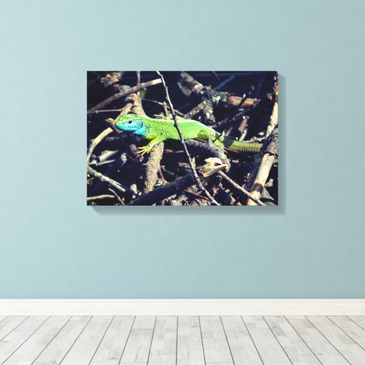 Toile d'enrobage photo Lizard vert (Insitu (Plancher de Bois))