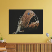 Toile Dent (Anoplogaster cornuta), Commande Beryciform (Insitu(Salon))