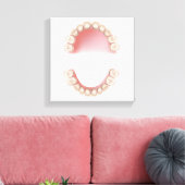 Toile dentition décidue (dents de bébé) (Insitu(Salon))