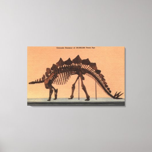Toile Denver, Colorado - Musée d'histoire naturelle (Recto)