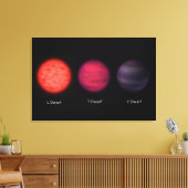 Toile Des Nains Brown Comme Le Voit Un Voyageur Interste (Insitu(Salon))