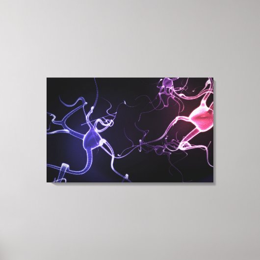 Toile Description colorée des neurones (Recto)