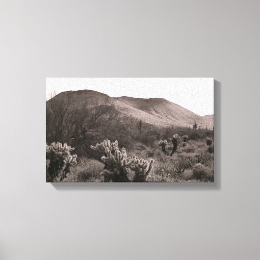 Toile Desert Cactus Jumping Cholla B&W Photo Art Imprime (Recto)