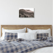 Toile Desert Cactus Jumping Cholla B&W Photo Art Imprime (Insitu(Chambre))