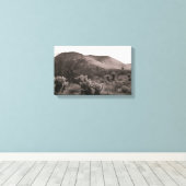Toile Desert Cactus Jumping Cholla B&W Photo Art Imprime (Insitu (Plancher de Bois))