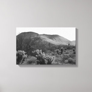 Toile Desert Cactus Jumping Cholla B&W Photo Art Prints