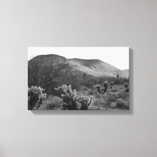 Toile Desert Cactus Jumping Cholla B&W Photo Art Prints (Recto)