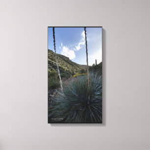 Toile Desert Southwest Sotol Plantes Pittoresque Image A