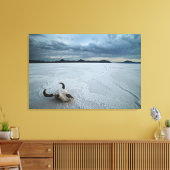 Toile Deserts | Bonneville Salt Flats Utah (Insitu(Salon))