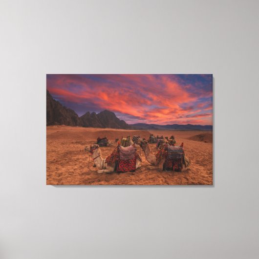 Toile Deserts | Camels Sinai Mountains Egypt (Recto)