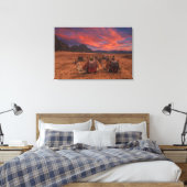 Toile Deserts | Camels Sinai Mountains Egypt (Insitu(Chambre))