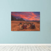 Toile Deserts | Camels Sinai Mountains Egypt (Insitu (Plancher de Bois))