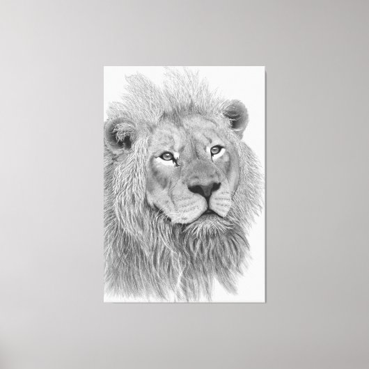 Toile Dessin au crayon de lion africain masculin (Recto)