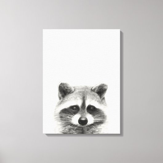Toile Dessin au crayon Raccoon (Recto)