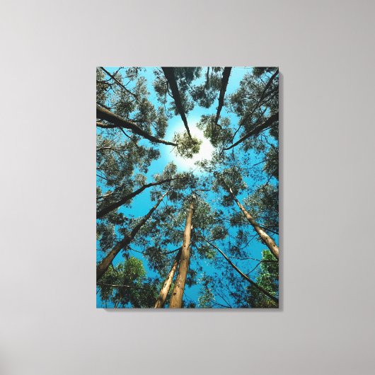 Toile dessin de canava (Recto)