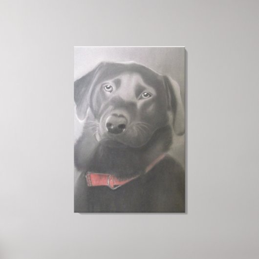 Toile Dessin de charbon de "Black Labrador Retriever" (Recto)