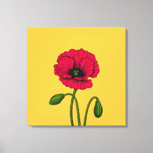 Toile Dessin de coquelicot rouge