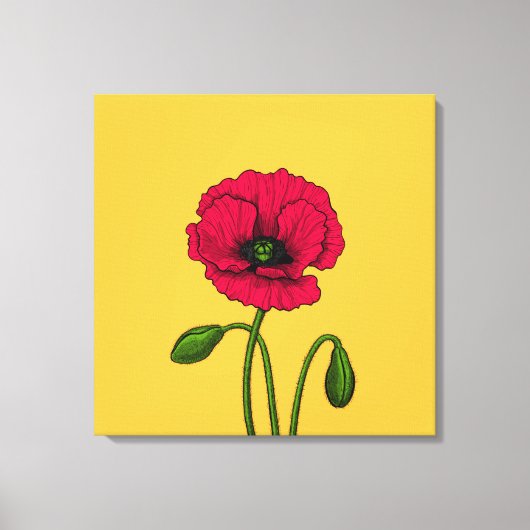 Toile Dessin de coquelicot rouge (Recto)