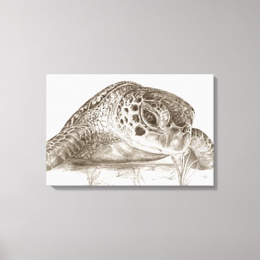 Toile Dessin de tortue marine verte (Recto)