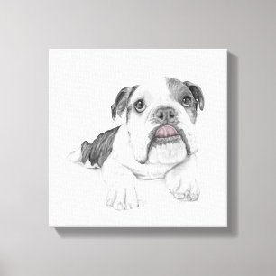 Toile Dessin Sassy Bulldog Puppy