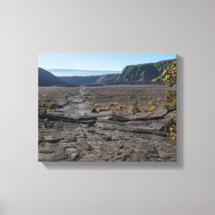 Toile dessus lit de lave sèche du cratère kilauea iki