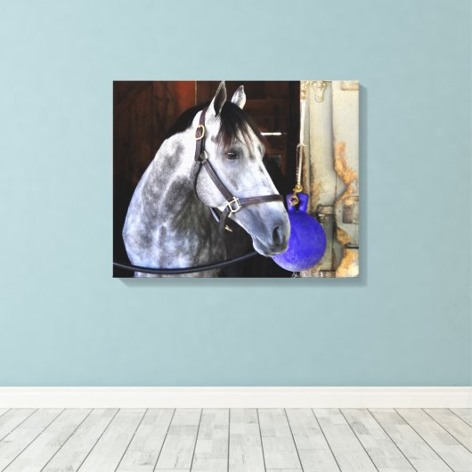 Toile Destin (Insitu (Plancher de Bois))