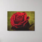 Toile d'étirement de rose rouge texturée (Recto)