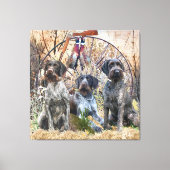 Toile Deutsch Drahthaar (Recto)