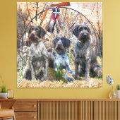 Toile Deutsch Drahthaar (Insitu(Salon))