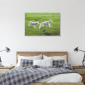 Toile Deux agneaux (Insitu(Chambre))