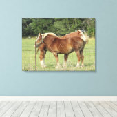 Toile Deux Beaux Chevaux d'Ambre à côté d'un Pho Fermier (Insitu (Plancher de Bois))
