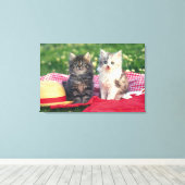 Toile Deux Chatons Assis Sur Une Couverture Rouge (Insitu (Plancher de Bois))