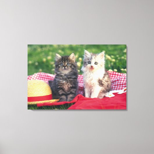 Toile Deux Chatons Assis Sur Une Couverture Rouge (Recto)