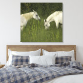 Toile Deux chevaux mangeant de l'herbe (Insitu(Chambre))