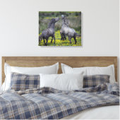 Toile Deux chevaux se cabrent et jouent (Insitu(Chambre))