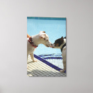 Toile Deux Chiens s'embrassant au bord de la piscine