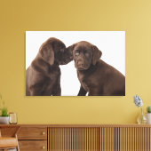 Toile Deux chiots Labrador Retriever Puppies au chocolat (Insitu(Salon))